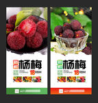 杨梅海报