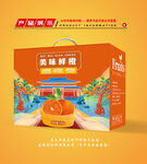 橙子包装 鲜橙礼盒