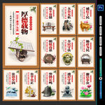 法治文化