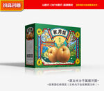 秋月梨礼盒 翠冠梨包装