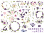 水彩紫罗兰花