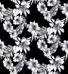 大牌花    黑白花