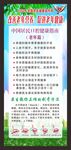 2022老年健康宣传周展架