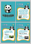可爱的大熊猫动物科普知识海报