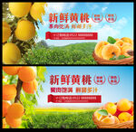新鲜黄桃