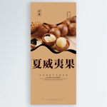 夏威夷果