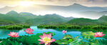 荷花风景图