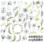水彩绿色花卉