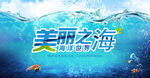 海洋生态环保海报