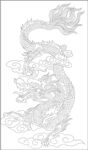 龙