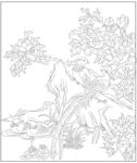 牡丹