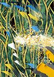 抽象油画