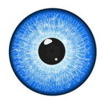 蓝色眼睛眼球眼珠子瞳孔晶体矢量