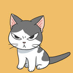 可爱的猫咪PSD分层文件