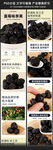 蓝莓李果