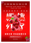 红色樱桃渐变海报