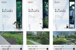 中式 图片