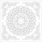 花纹