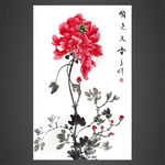 花开富贵