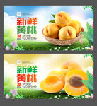 黄桃