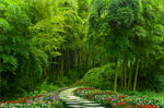 竹林花道