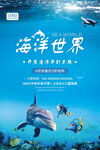 海洋馆
