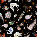 海洋生物