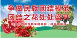团结之花