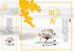 银杏展板