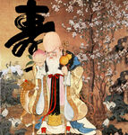 寿星