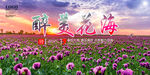 花海