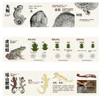 野生动物科普解说展牌