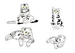 虎斑猫咪手绘插画