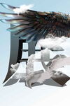 展