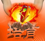 培育