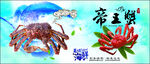 帝王蟹