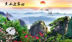 迎客松