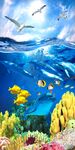 海底海豚玄关背景