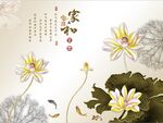 家和富贵