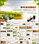 葡萄酒红酒宣传动态PPT