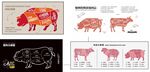 肉品分割图