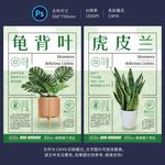 盆栽绿植海报