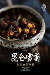 昆仑雪菊海报