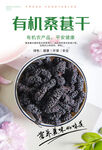 桑葚干海报
