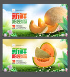 哈密瓜