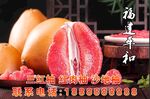 福建平和 柚子