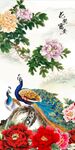 牡丹花
