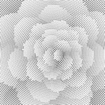 镂空花纹