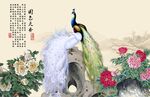 孔雀牡丹图