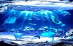 海底世界背景墙